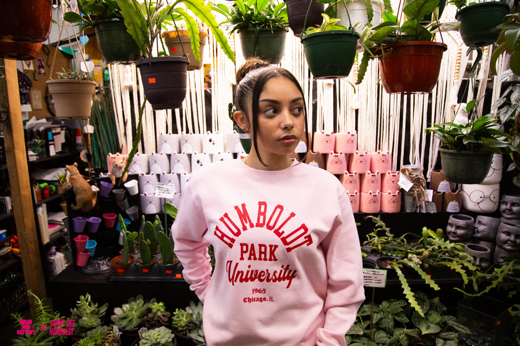 HPU CLOUD PINK CREW